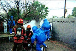 Firefighters in full protective gear and encapsulated suits use a handline and foam to blanket an extremely large Africanized honey bee hive. Firefighters in full protective gear and encapsulated suits use a handline and foam to blanket an extremely large Africanized honey bee hive.