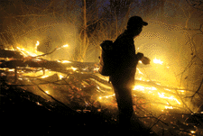 1050514409064 10692509