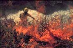 1058461820785 10692784 1058461820785 10692784