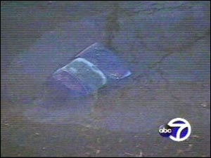 A highway accident sent a woman and her car flying into the river.