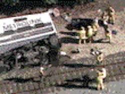 1074543328269 10693500 1074543328269 10693500