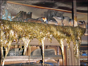 1079628887419 10693923