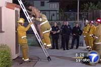 Here a boy is being help down from the roof of park meeting room. He was trapped in the chimney for seven hours after trying to retrieve his soccer ball