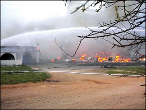 1081457219515 10693830