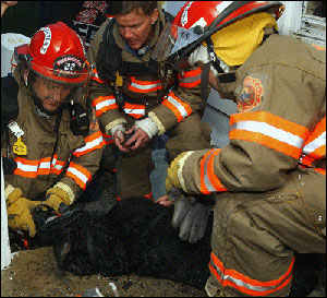 1082052272535 10693805