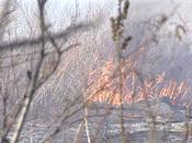 1082056994882 10693808