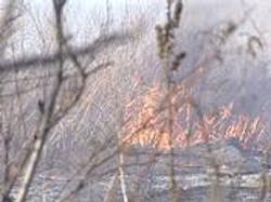 1082056994882 10693808 1082056994882 10693808