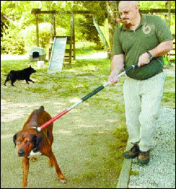 Jayson Potter of Rockdale Animal Control captures the dog that bit a Rockdale County firefighter Monday morning when he responded to a call for medical assistance on Hightower Trail. The dog is described by Deputy Director Curtis Trickler as a &ldquo;large brown mixed breed,&rdquo; not a pit bull.
