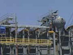 Plant McIntosh Plant McIntosh