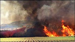 A single-engine air tanker (SEAT) drops fire retardant ahead of the fire that raged through the bed of the Gila River in Thatcher Friday afternoon. A single-engine air tanker (SEAT) drops fire retardant ahead of the fire that raged through the bed of the Gila River in Thatcher Friday afternoon.