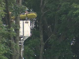 Rescue workers work to save a man who was hanging from his safety harness atop a tree in Franklin.