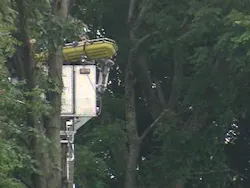 Rescue workers work to save a man who was hanging from his safety harness atop a tree in Franklin.