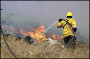 1091479921800 10694284