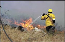 1091479921800 10694284 1091479921800 10694284