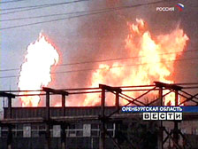 1093118595814 10695347