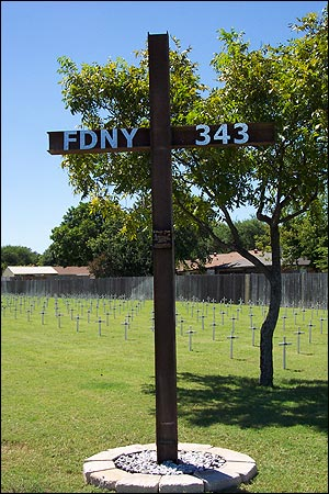 1094839111152 10695272