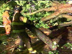 Murfreesboro fire crews clear out the remains of a fallen tree on East Lytle Street Murfreesboro fire crews clear out the remains of a fallen tree on East Lytle Street