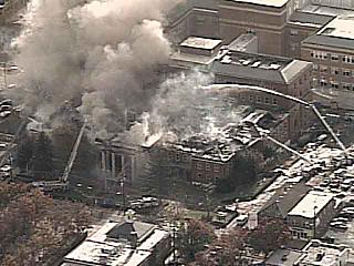 1099495546449 10695037