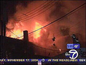 1100704543545 10694985