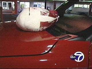 1100788009373 10694975