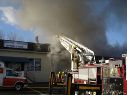 1102173448783 10694931