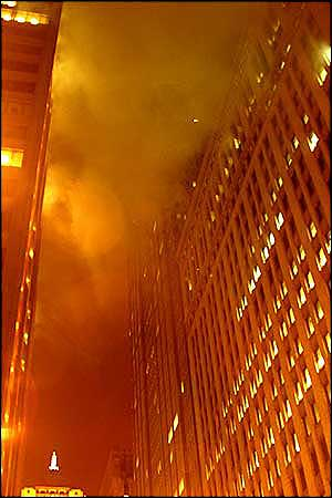 1102539298423 10694909