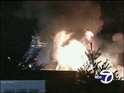 A pet store, engulfed in flames, leaves hundreds of defenseless animals--including puppies and little kittens--dead. A pet store, engulfed in flames, leaves hundreds of defenseless animals--including puppies and little kittens--dead.