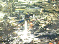 1104261614847 10695952