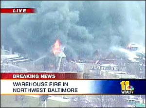 1105728189218 10695885