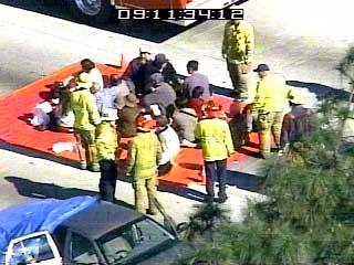 1110990095591 10696388