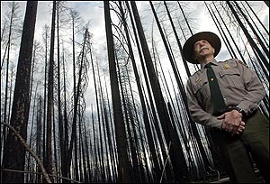 Glacier National Park Chief Ranger Stephen J. Frye stands in a section of the park that was burned by the Robert Fire during the summer of 2003, in this Wednesday, May 4, 2005 file photo, in Montana. Frye led one of the nation's highly skilled type I incident management teams for nine years before stepping down at the end of last season. Federal fire officials say it's getting harder to find experienced fire managers who are willing to drop everything on a couple hours' notice to serve on highly skilled teams that confront the nation's most complex blazes. (AP Photo/Chris Jordan, File)