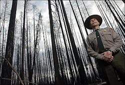Glacier National Park Chief Ranger Stephen J. Frye stands in a section of the park that was burned by the Robert Fire during the summer of 2003, in this Wednesday, May 4, 2005 file photo, in Montana. Frye led one of the nation&apos;s highly skilled type I incident management teams for nine years before stepping down at the end of last season. Federal fire officials say it&apos;s getting harder to find experienced fire managers who are willing to drop everything on a couple hours&apos; notice to serve on highly skilled teams that confront the nation&apos;s most complex blazes. (AP Photo/Chris Jordan, File)
