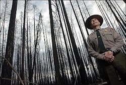 Glacier National Park Chief Ranger Stephen J. Frye stands in a section of the park that was burned by the Robert Fire during the summer of 2003, in this Wednesday, May 4, 2005 file photo, in Montana. Frye led one of the nation's highly skilled type I incident management teams for nine years before stepping down at the end of last season. Federal fire officials say it's getting harder to find experienced fire managers who are willing to drop everything on a couple hours' notice to serve on highly skilled teams that confront the nation's most complex blazes. (AP Photo/Chris Jordan, File) Glacier National Park Chief Ranger Stephen J. Frye stands in a section of the park that was burned by the Robert Fire during the summer of 2003, in this Wednesday, May 4, 2005 file photo, in Montana. Frye led one of the nation's highly skilled type I incident management teams for nine years before stepping down at the end of last season. Federal fire officials say it's getting harder to find experienced fire managers who are willing to drop everything on a couple hours' notice to serve on highly skilled teams that confront the nation's most complex blazes. (AP Photo/Chris Jordan, File)