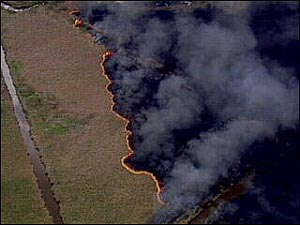 1116597890769 10696106