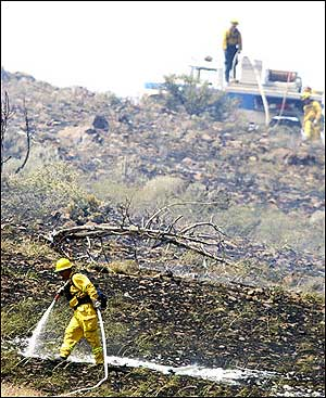 Nevada Department of Forestry workers check on hot spots, Thursday, June 16, 2005, south of Virginia City, Nev.