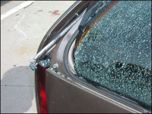 1119391167100 10696949