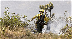 A firefighter pulls a hose line while battling a brush fire near Goodsprings, Nev., about 25 miles south of Las Vegas, Thursday, June 23, 2005. The fire has consumed more than 7,000 acres, forcing the evacuation of a Boy Scout camp.