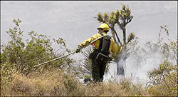 A firefighter pulls a hose line while battling a brush fire near Goodsprings, Nev., about 25 miles south of Las Vegas, Thursday, June 23, 2005. The fire has consumed more than 7,000 acres, forcing the evacuation of a Boy Scout camp. A firefighter pulls a hose line while battling a brush fire near Goodsprings, Nev., about 25 miles south of Las Vegas, Thursday, June 23, 2005. The fire has consumed more than 7,000 acres, forcing the evacuation of a Boy Scout camp.