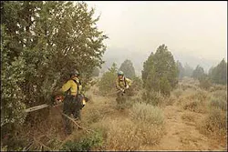 U.S. Forest Service firefighters Kreg Jessen, left, and Tiffany Treu work to clear brush along the road to create a fire break as the Red Fire continues to burn behind them, Thursday, June 23, 2005, near Motoqua, Utah. U.S. Forest Service firefighters Kreg Jessen, left, and Tiffany Treu work to clear brush along the road to create a fire break as the Red Fire continues to burn behind them, Thursday, June 23, 2005, near Motoqua, Utah.
