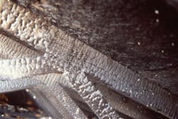 Photo 6. Photo from the 1989 Phoenix “near miss” collapse. Note that the gusset plate has completely fallen out and the truss system is held together by friction. Note the “footprint” in the two-by-four-inch truss member where the plate was once seated. Photo 6. Photo from the 1989 Phoenix “near miss” collapse. Note that the gusset plate has completely fallen out and the truss system is held together by friction. Note the “footprint” in the two-by-four-inch truss member where the plate was once seated.