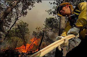 U.S. Forest Service Firefighter Michael Hoon pulls hose while fighting a wildfire in the Barton Flat area of the San Bernardino National Forest, Calif., Tuesday, July 5, 2005.