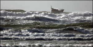 1120862341960 10691702