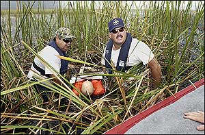 Using a mannequin, Mitch Stewart and Lt. Fred North of the BSO fire rescue practice an Everglades rescue with their airboat ambulance.