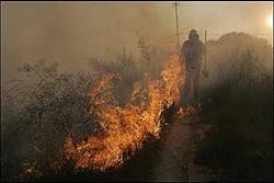 A Los Angeles County firefighter makes progress against the blaze on the fire line of a brush fire Wednesday, July 13, 2005, in Rancho Palos Verdes, Calif. Fire officials say about 100 acres have burned and up to 300 homes were threatened.
