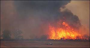 Firefighters battle a fire in the Bosque just south of Bernalillo, N.M., Thursday, july 14, 2005. Firefighters in central New Mexico had their hands full Thursday evening as strong winds pushed flames through the wooded area along the Rio Grande River near Bernalillo, N.M. and across the grass at the base of the Manzano Mountains.