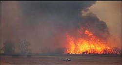 Firefighters battle a fire in the Bosque just south of Bernalillo, N.M., Thursday, july 14, 2005. Firefighters in central New Mexico had their hands full Thursday evening as strong winds pushed flames through the wooded area along the Rio Grande River near Bernalillo, N.M. and across the grass at the base of the Manzano Mountains. Firefighters battle a fire in the Bosque just south of Bernalillo, N.M., Thursday, july 14, 2005. Firefighters in central New Mexico had their hands full Thursday evening as strong winds pushed flames through the wooded area along the Rio Grande River near Bernalillo, N.M. and across the grass at the base of the Manzano Mountains.