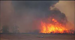 Firefighters battle a fire in the Bosque just south of Bernalillo, N.M., Thursday, july 14, 2005. Firefighters in central New Mexico had their hands full Thursday evening as strong winds pushed flames through the wooded area along the Rio Grande River near Bernalillo, N.M. and across the grass at the base of the Manzano Mountains.