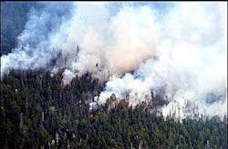 A wildfire burns near Seagull Lake in the Boundary Waters Canoe Area Wilderness on Sunday, Aug. 7, 2005, near Ely, Minn. The fire grew to about 650 acres on Sunday as firefighters, buffered by reinforcements, worked to knock down the blaze. Fire officials hoped to curb the blaze before Monday, when strong southwest winds were expected to return, along with even hotter and drier conditions, said Patty Johnson, a fire expert for the Gunflint Ranger District of the Superior National Forest. A wildfire burns near Seagull Lake in the Boundary Waters Canoe Area Wilderness on Sunday, Aug. 7, 2005, near Ely, Minn. The fire grew to about 650 acres on Sunday as firefighters, buffered by reinforcements, worked to knock down the blaze. Fire officials hoped to curb the blaze before Monday, when strong southwest winds were expected to return, along with even hotter and drier conditions, said Patty Johnson, a fire expert for the Gunflint Ranger District of the Superior National Forest.