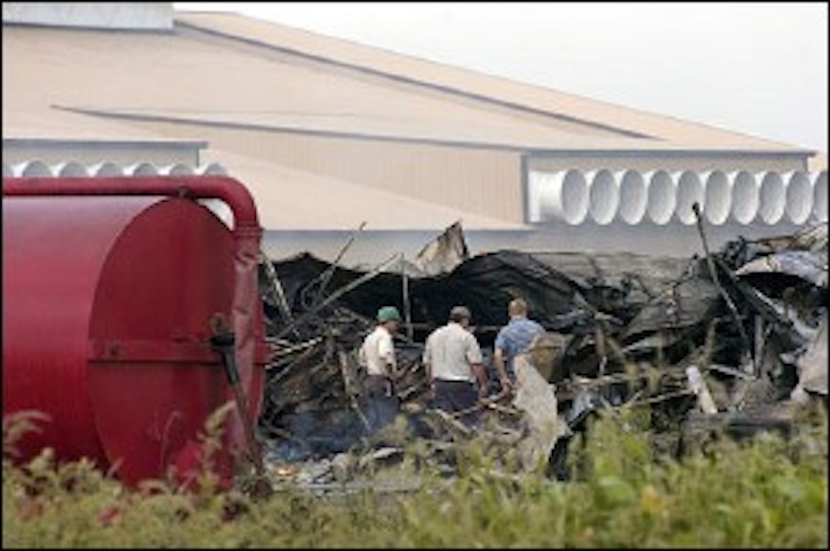 Fire Kills 250,000 Chickens at One of Michigan's Largest Poultry Farms
