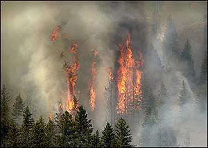 father son forest fire montana